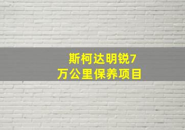 斯柯达明锐7万公里保养项目