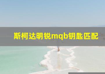 斯柯达明锐mqb钥匙匹配