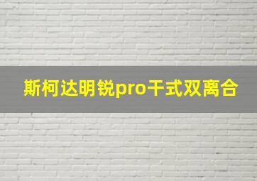 斯柯达明锐pro干式双离合