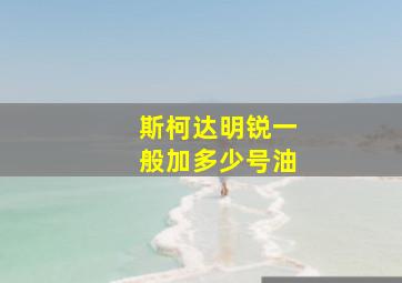 斯柯达明锐一般加多少号油