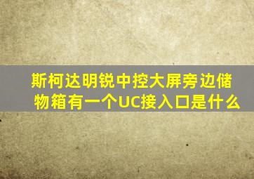 斯柯达明锐中控大屏旁边储物箱有一个UC接入口是什么