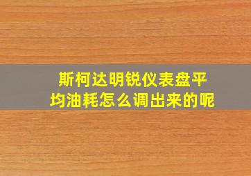 斯柯达明锐仪表盘平均油耗怎么调出来的呢