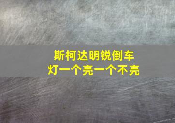 斯柯达明锐倒车灯一个亮一个不亮