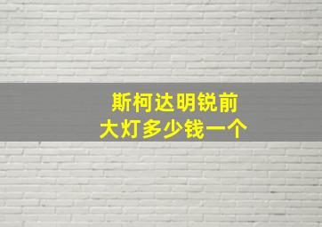 斯柯达明锐前大灯多少钱一个