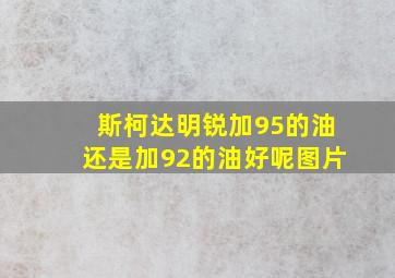 斯柯达明锐加95的油还是加92的油好呢图片