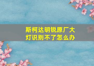 斯柯达明锐原厂大灯识别不了怎么办