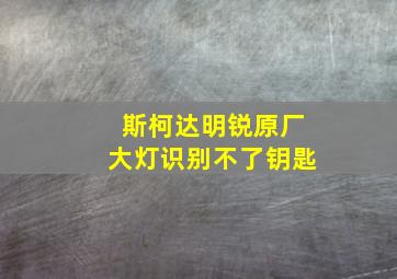 斯柯达明锐原厂大灯识别不了钥匙