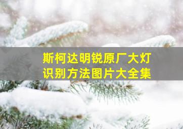 斯柯达明锐原厂大灯识别方法图片大全集