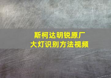 斯柯达明锐原厂大灯识别方法视频