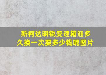 斯柯达明锐变速箱油多久换一次要多少钱呢图片