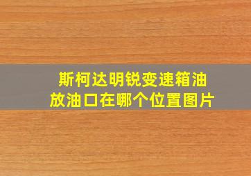 斯柯达明锐变速箱油放油口在哪个位置图片