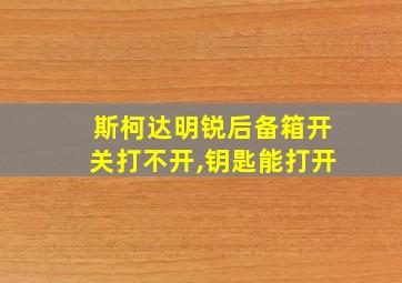 斯柯达明锐后备箱开关打不开,钥匙能打开