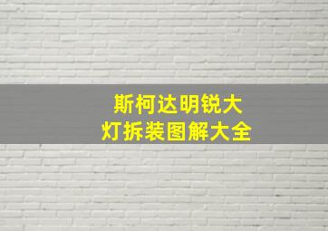 斯柯达明锐大灯拆装图解大全