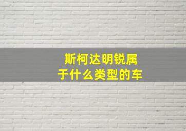 斯柯达明锐属于什么类型的车