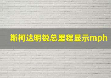 斯柯达明锐总里程显示mph