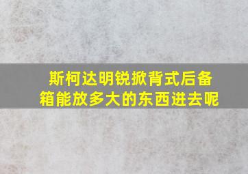 斯柯达明锐掀背式后备箱能放多大的东西进去呢