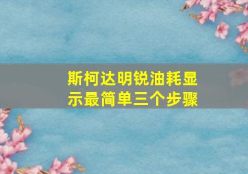 斯柯达明锐油耗显示最简单三个步骤