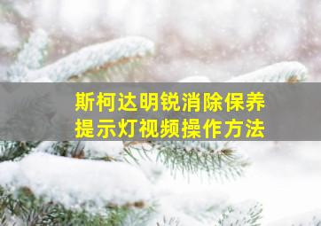 斯柯达明锐消除保养提示灯视频操作方法