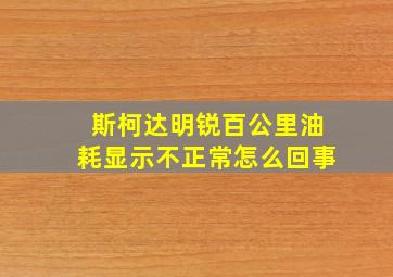 斯柯达明锐百公里油耗显示不正常怎么回事