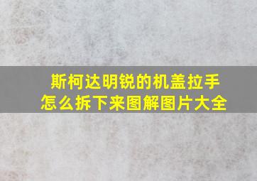 斯柯达明锐的机盖拉手怎么拆下来图解图片大全