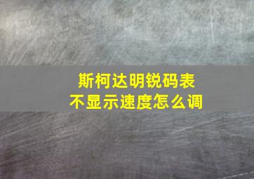 斯柯达明锐码表不显示速度怎么调