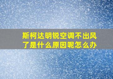 斯柯达明锐空调不出风了是什么原因呢怎么办