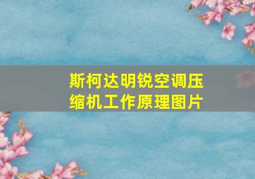 斯柯达明锐空调压缩机工作原理图片