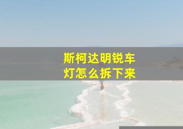 斯柯达明锐车灯怎么拆下来