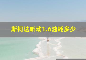 斯柯达昕动1.6油耗多少