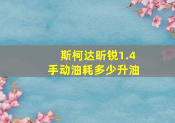 斯柯达昕锐1.4手动油耗多少升油