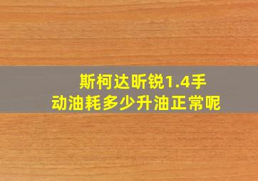 斯柯达昕锐1.4手动油耗多少升油正常呢