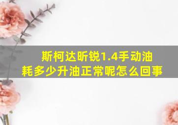 斯柯达昕锐1.4手动油耗多少升油正常呢怎么回事