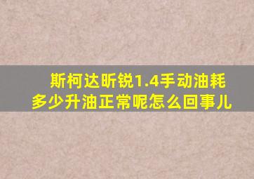 斯柯达昕锐1.4手动油耗多少升油正常呢怎么回事儿