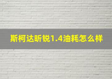 斯柯达昕锐1.4油耗怎么样