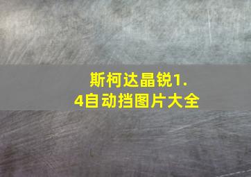 斯柯达晶锐1.4自动挡图片大全