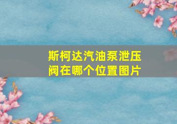 斯柯达汽油泵泄压阀在哪个位置图片