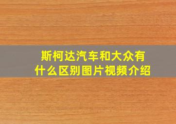 斯柯达汽车和大众有什么区别图片视频介绍