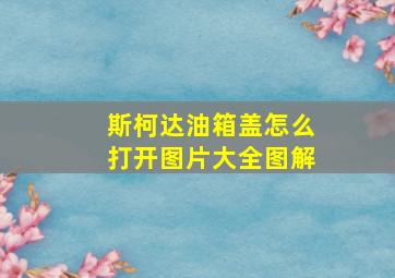 斯柯达油箱盖怎么打开图片大全图解