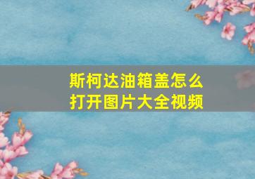 斯柯达油箱盖怎么打开图片大全视频