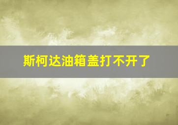 斯柯达油箱盖打不开了