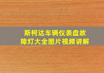 斯柯达车辆仪表盘故障灯大全图片视频讲解