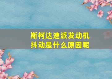 斯柯达速派发动机抖动是什么原因呢