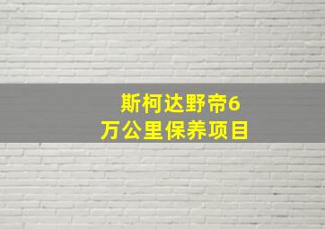 斯柯达野帝6万公里保养项目