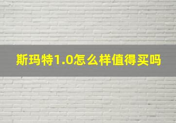 斯玛特1.0怎么样值得买吗