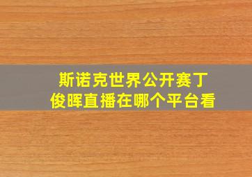 斯诺克世界公开赛丁俊晖直播在哪个平台看