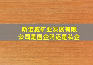 斯诺威矿业发展有限公司是国企吗还是私企