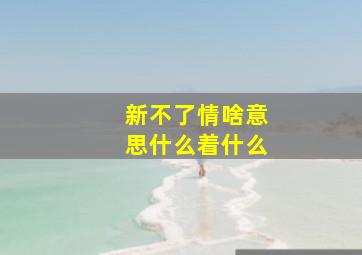 新不了情啥意思什么着什么