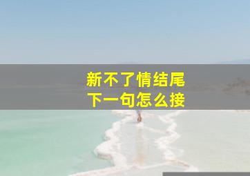 新不了情结尾下一句怎么接