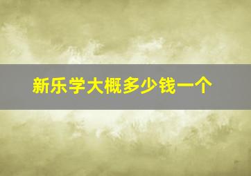 新乐学大概多少钱一个