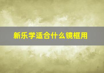 新乐学适合什么镜框用